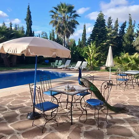 Riad Tanjil-3